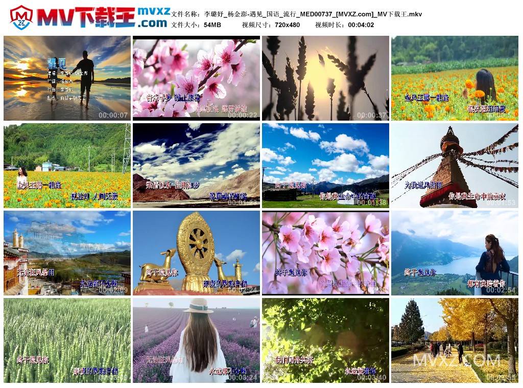 李璐妤_杨金澎-遇见_国语_流行_MED00737